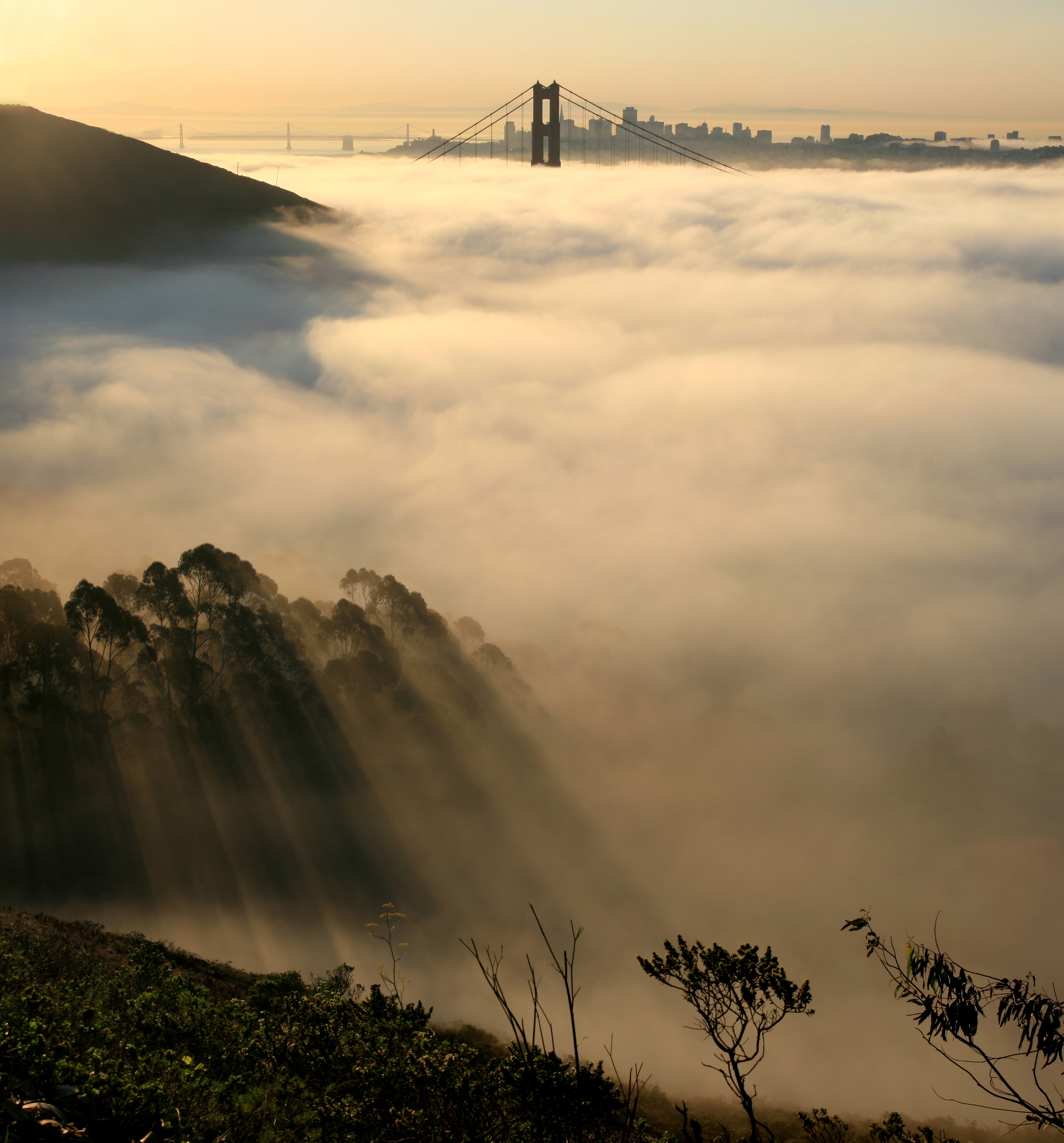 SF coastal fog with city in background